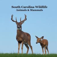 South Carolina Animals and Mammals Kids Wildlife Book