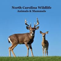North Carolina Animals and Mammals Kids Wildlife Book