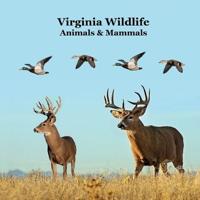 Virginia Animals and Mammals Kids Wildlife Book