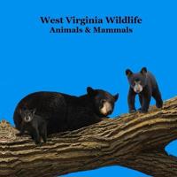 West Virginia Animals and Mammals Kids Wildlife Book
