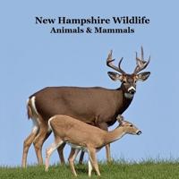 New Hampshire Animals and Mammals Kids Wildlife Book