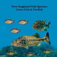 New England Game Fish and Panfish Species Kids Book