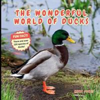 The Wonderful World of Ducks