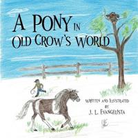 A Pony in Old Crow's World