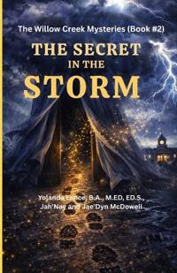 The Willow Creek Mysteries (Book #2)
