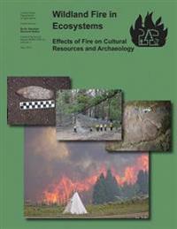 Wildland Fire in Ecosystems: Effects of Fire on Cultural Resources and Archaeology