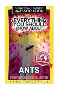 Everything You Should Know About