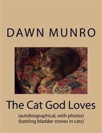 The Cat God Loves: autobiographical - battling bladder stones in cats