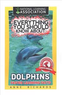 Everything You Should Know About
