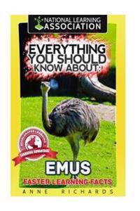 Everything You Should Know About
