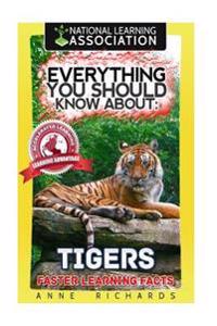 Everything You Should Know About
