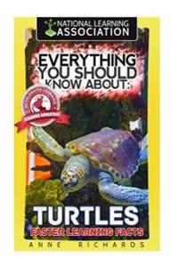 Everything You Should Know About Turtles