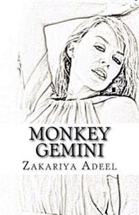 Monkey Gemini