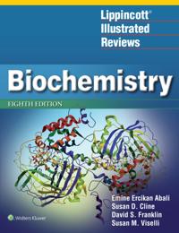 Lippincott Illustrated Reviews Series