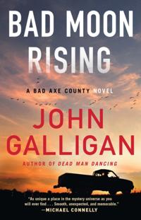 A Bad Axe County Novel