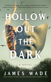 HOLLOW OUT THE DARK