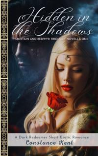 Hidden in the Shadows - Mortain and Bedwyr Trilogy Book One
