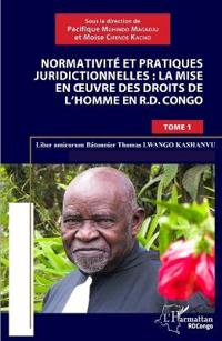Normativité et pratique juridictionnelles