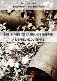 Les images de la grande guerre a l'epreuve du temps