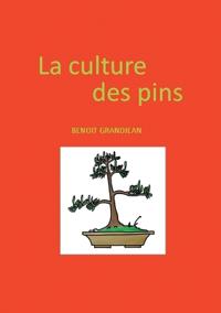La culture des pins