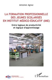 La formation professionnelle des jeunes scolarisés en istitut médico-éducatif (IME)