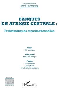 Banques en Afrique centrale : problématiques organisationnelles