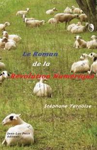 Le roman de la révolution numérique: Hors Goncourt 2013