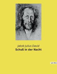 Schuß in der Nacht