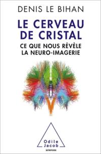 Le Cerveau de cristal
