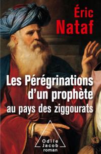 Les Pérégrinations d’un prophète au pays des ziggourats