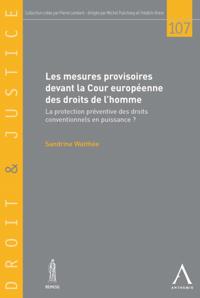 Les mesures provisoires devant la Cour europeenne des droits de l'homme