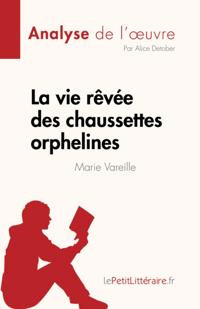 La vie rêvée des chaussettes orphelines de Marie Vareille (Analyse de l''œuvre)