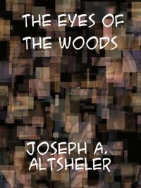 Eyes of the Woods A story of the Ancient Wilderness