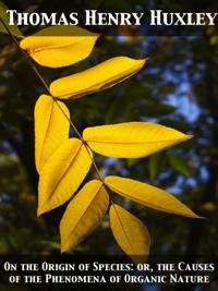 On the Origin of Species: or, the Causes of the Phenomena of Organic Nature