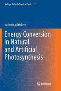 Energy Conversion in Natural and Artificial Photosynthesis