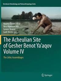 The Acheulian Site of Gesher Benot Ya‘aqov Volume IV