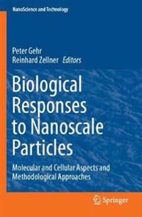 Biological Responses to Nanoscale Particles