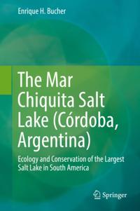 Mar Chiquita Salt Lake (Cordoba, Argentina)