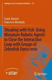 Shoaling with Fish: Using Miniature Robotic Agents to Close the Interaction Loop with Groups of Zebrafish Danio rerio
