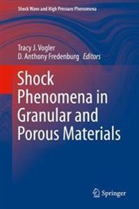 Bokomslag för "Shock Phenomena in Granular and Porous Materials"