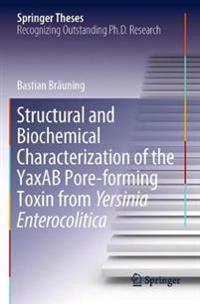 Bokomslag för "Structural and Biochemical Characterization of the YaxAB Pore-forming Toxin from Yersinia Enterocolitica"