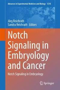 Bokomslag för "Notch Signaling in Embryology and Cancer"