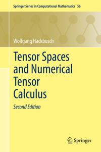 Springer Series in Computational Mathematics