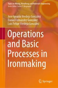 Topics in Mining, Metallurgy and Materials Engineering