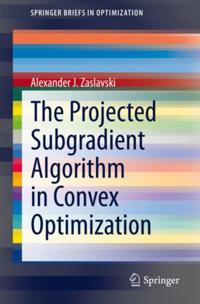 SpringerBriefs in Optimization
