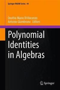 Polynomial Identities in Algebras