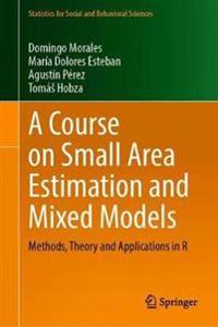 A Course on Small Area Estimation and Mixed Models