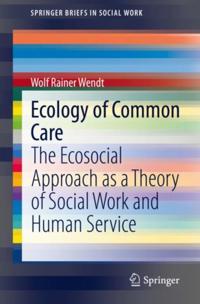 SpringerBriefs in Social Work