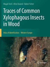 Bokomslag för "Traces of Common Xylophagous Insects in Wood"