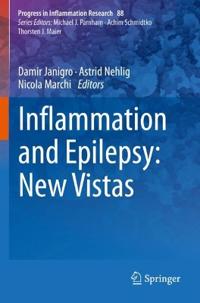 Kirjan kansi "Inflammation and Epilepsy: New Vistas"